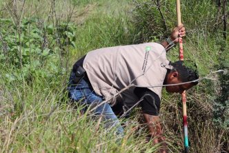 MUNICIPIO LLEVA A CABO ACCIONES PERMANENTES DE CONSERVACIÓN EN EL ÁREA NATURAL PROTEGIDA LA PONA