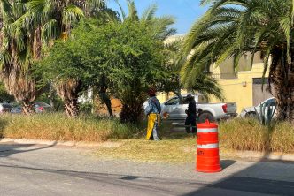 REALIZA MUNICIPIO DE AGUASCALIENTES MEGA OPERATIVO DE DESMALEZADO Y LIMPIEZA EN LA AV. MARIANO ESCOBEDO