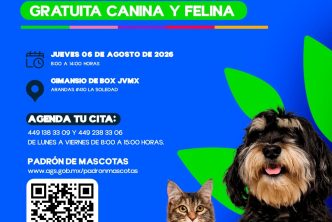 MUNICIPIO E ISSEA REALIZARÁN ESTERILIZACIONES GRATUITAS EN LA COLONIA LA SOLEDAD