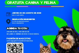 MUNICIPIO E ISSEA REALIZARÁN ESTERILIZACIONES GRATUITAS PARA CANINOS Y FELINOS EN EL FRACCIONAMIENTO INSURGENTES
