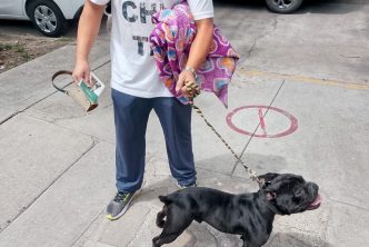 REALIZARÁN MUNICIPIO E ISSEA ESTERILIZACIONES DE MASCOTAS EN NORIAS DE PASO HONDO Y COLONIA GREMIAL
