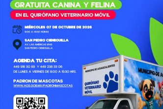 MUNICIPIO E ISSEA REALIZARÁN JORNADAS DE ESTERILIZACIÓN EN SAN PEDRO CIENEGUILLA Y MIRADOR DE LAS CULTURAS